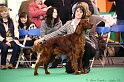 Crufts2011 195